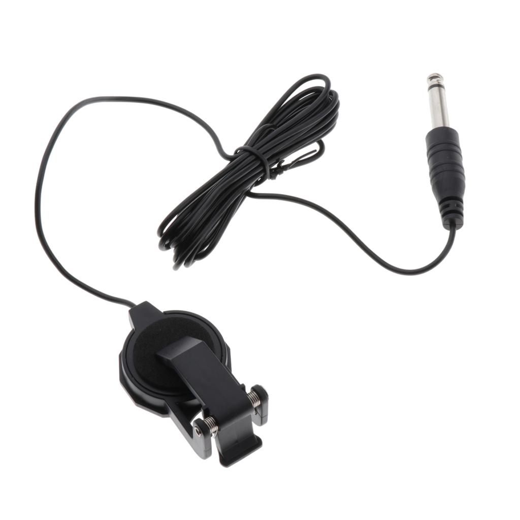 Elektro-akoestische passieve p - Musical Instruments Easy recensie en prijs