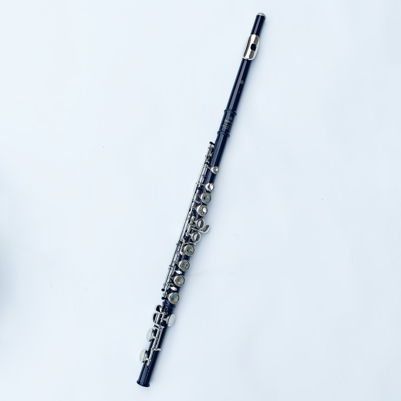 Japan 212 Zwart 16-gaats fluit - Musical Instrument Japan recensie en prijs