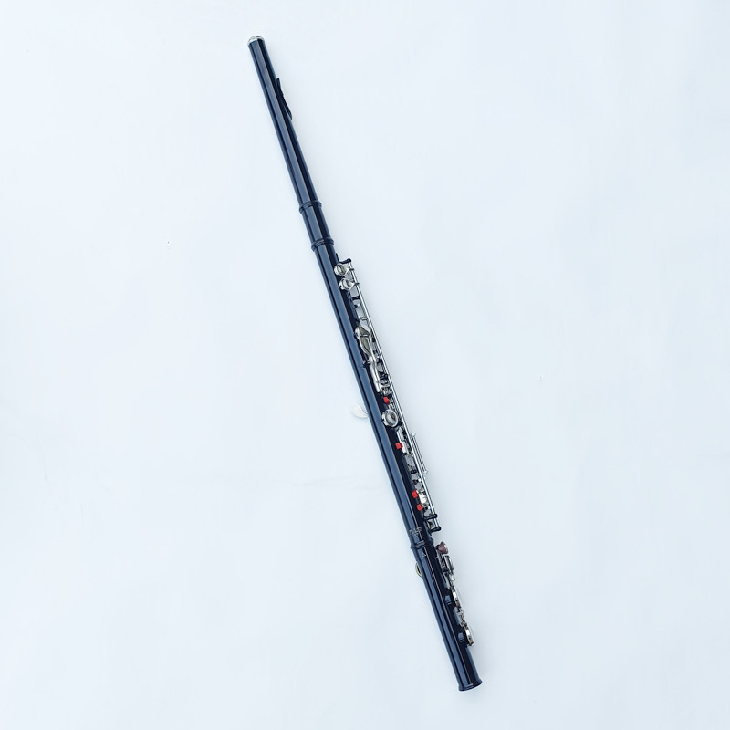 Japan 212 Zwart 16-gaats fluit - Musical Instrument Japan recensie en prijs