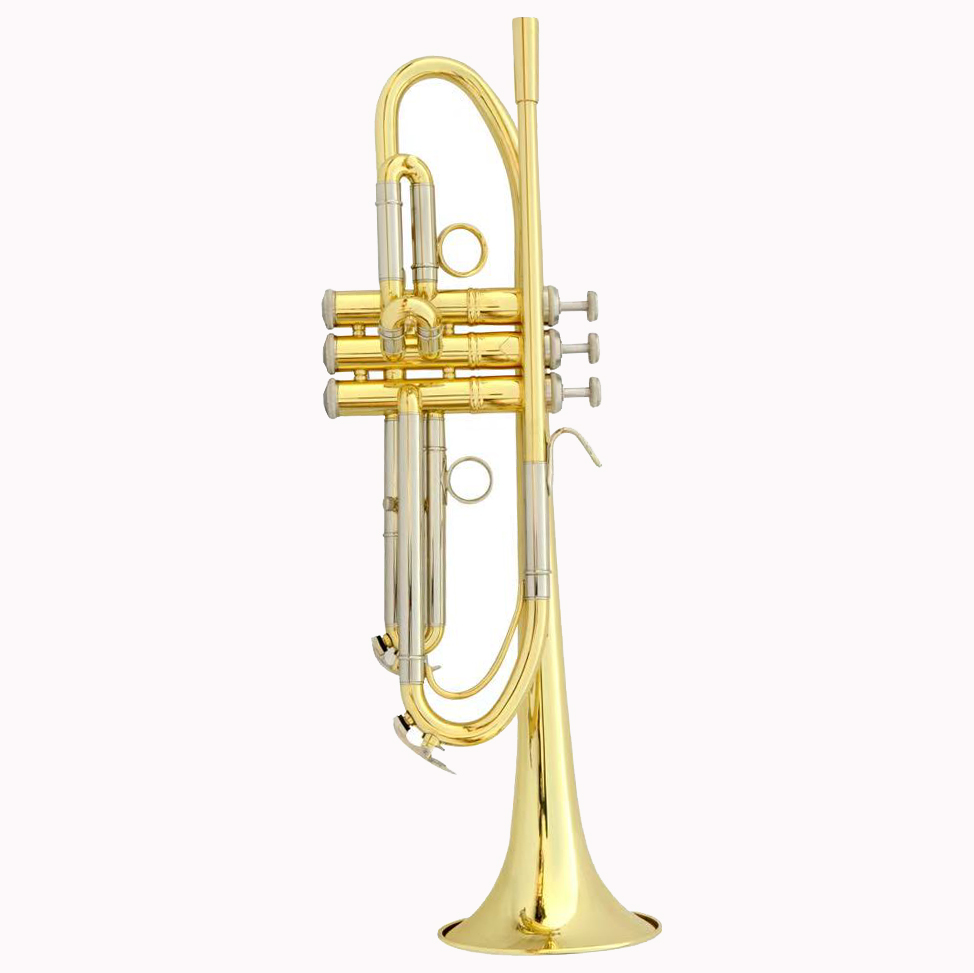 Trompet op maat gemaakt, OEM-l - Musical Instrument Logo recensie en prijs