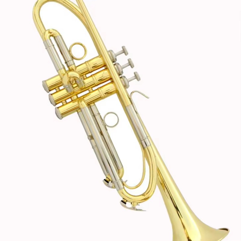 Trompet op maat gemaakt, OEM-l - Musical Instrument Logo recensie en prijs